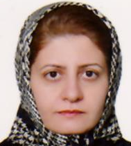 Provider Image